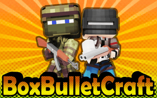 Image BoxBulletCraft